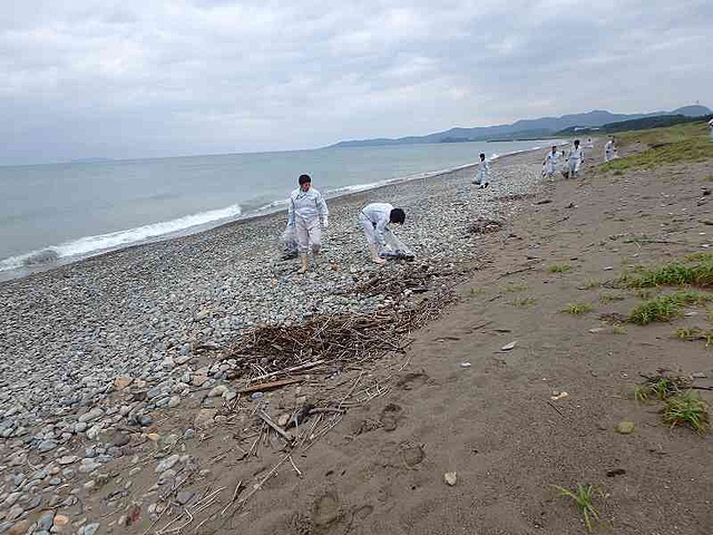 平成２７年６月２６日　海岸清掃