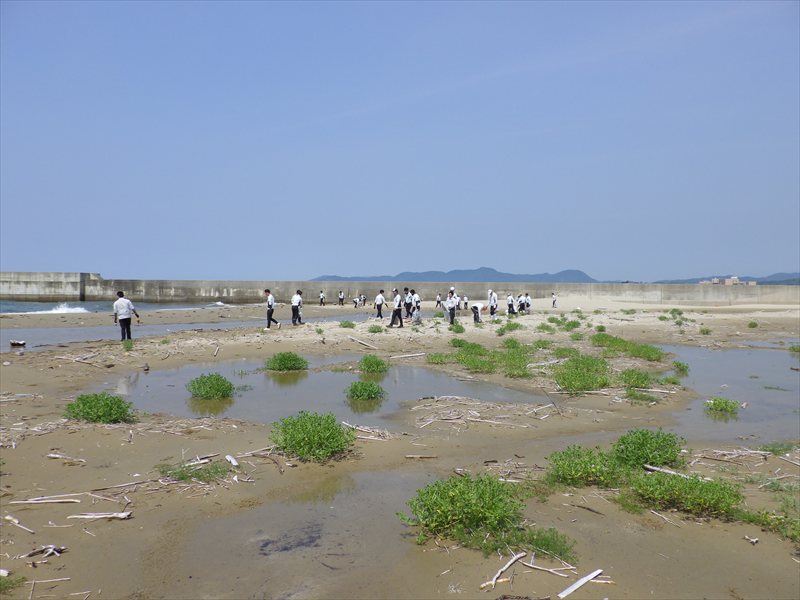 令和7年6月27日 海岸清掃