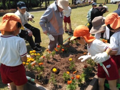 ふれあい花壇