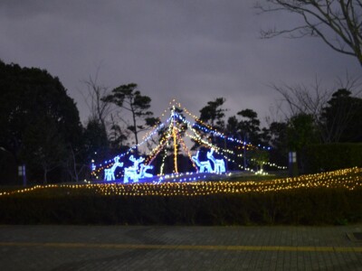 イルミネーション